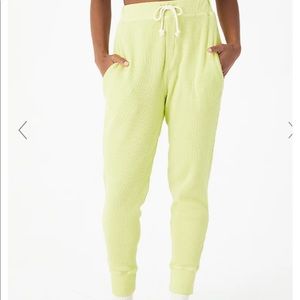 Backbeat co organic cotton joggers in lime. Brand new